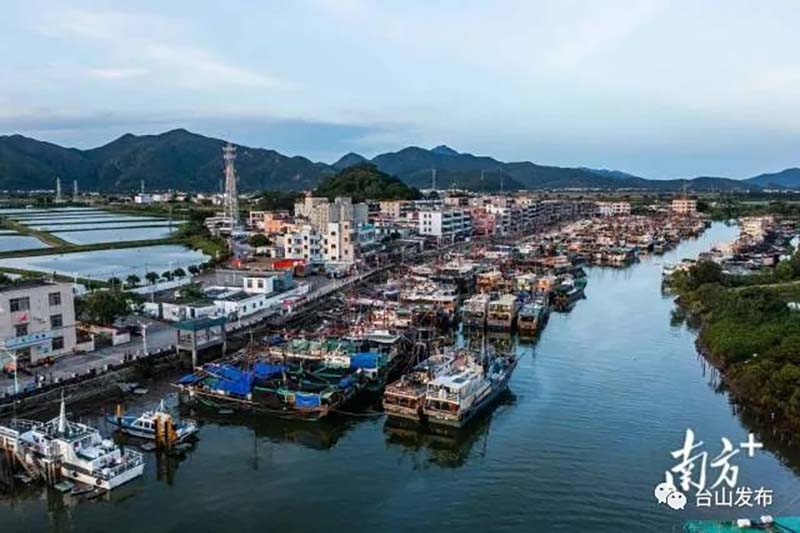 《南方日报》｜台山：构建海上网格，让海洋“枫”景一路生花