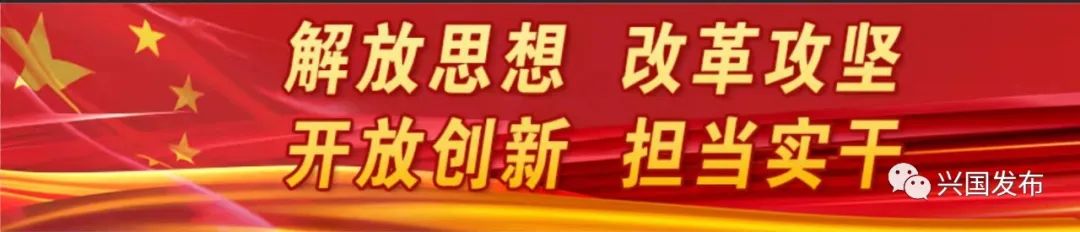 何包红鲤鱼养殖技术_红鲤鱼养殖场_养殖红鲤鱼视频