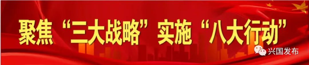 红鲤鱼养殖场_何包红鲤鱼养殖技术_养殖红鲤鱼视频