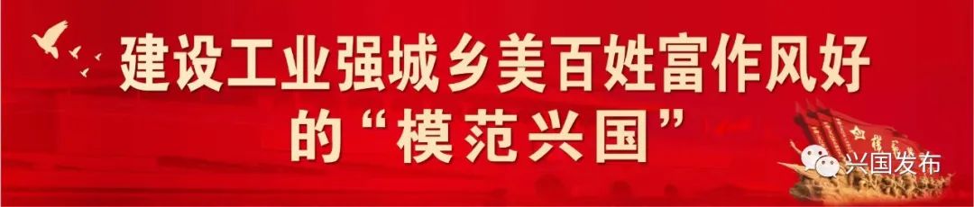 何包红鲤鱼养殖技术_养殖红鲤鱼视频_红鲤鱼养殖场