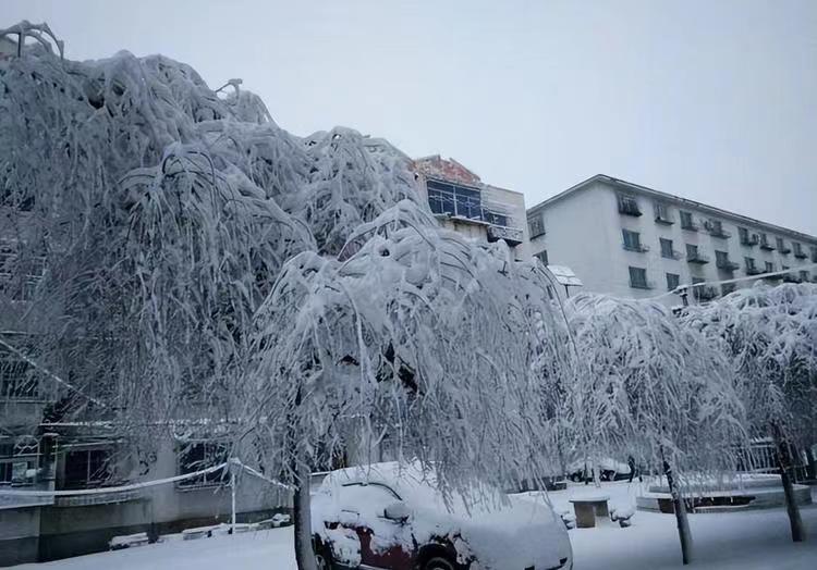 鲶鱼养殖赚钱吗_致富经养大口鲶鱼_养殖大口鲶鱼