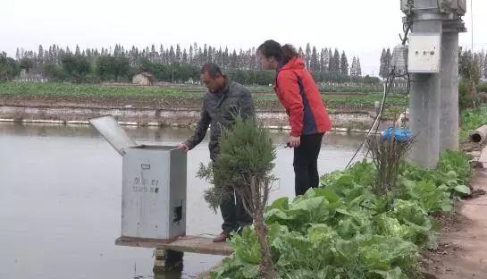 甲鱼养殖池塘怎样建造视频_致富散养甲鱼池塘图片_池塘散养甲鱼致富经