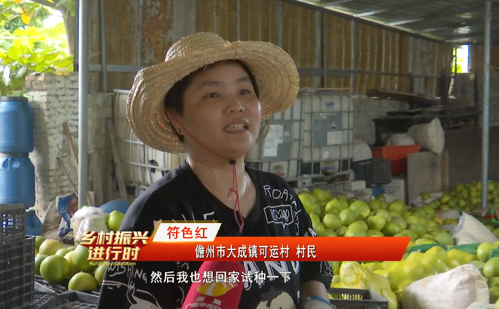 广东水果种植基地_适合广东种植的水果新品种_广东种植水果致富