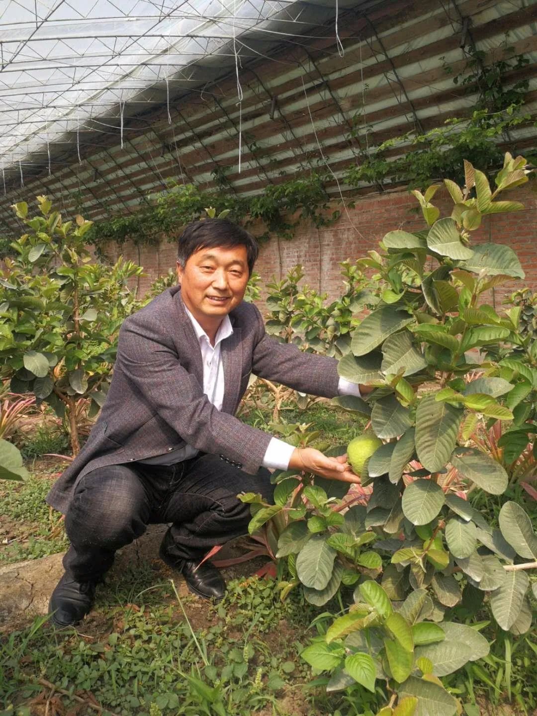 广东种植水果致富_适合广东种植的水果新品种_广东种植什么水果最赚钱