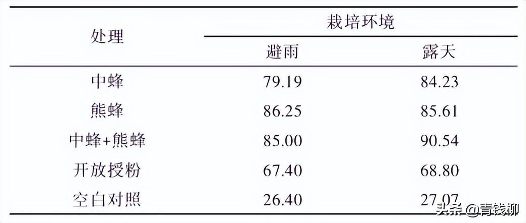 重庆地区蓝莓高效栽培技术简介