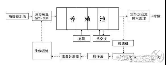 青蛙育苗养殖技术_青蛙育苗养殖技术_青蛙育苗养殖技术