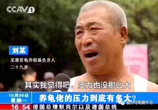 致富经乌龟养殖场的视频_2016致富经养乌龟视频_养乌龟视频大全在线