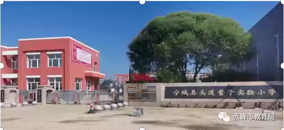 品耕耘之艰辛，享种植之快乐———头道营子实验小学劳动种植实践活动纪实