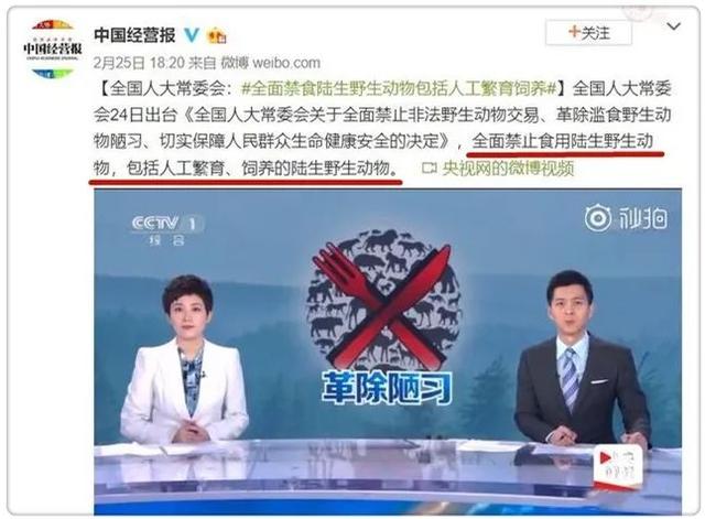 最强禁令！中国野生保护动物协会被罚，1400万从业者何去何从？