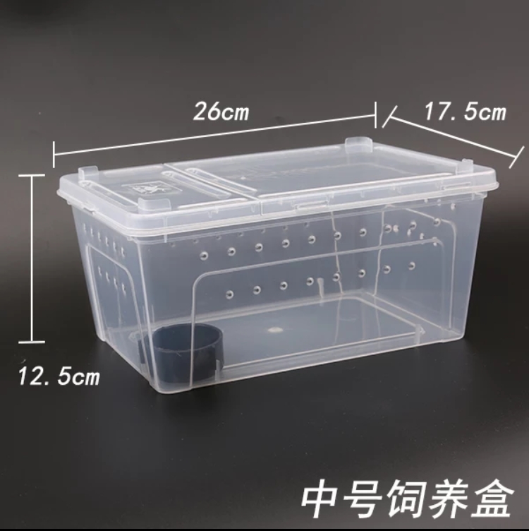 蜈蚣养殖关键技术_蜈蚣养殖技术致富经_野蜈蚣怎么养殖技术