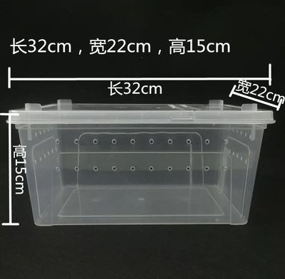 野蜈蚣怎么养殖技术_蜈蚣养殖技术致富经_蜈蚣养殖关键技术