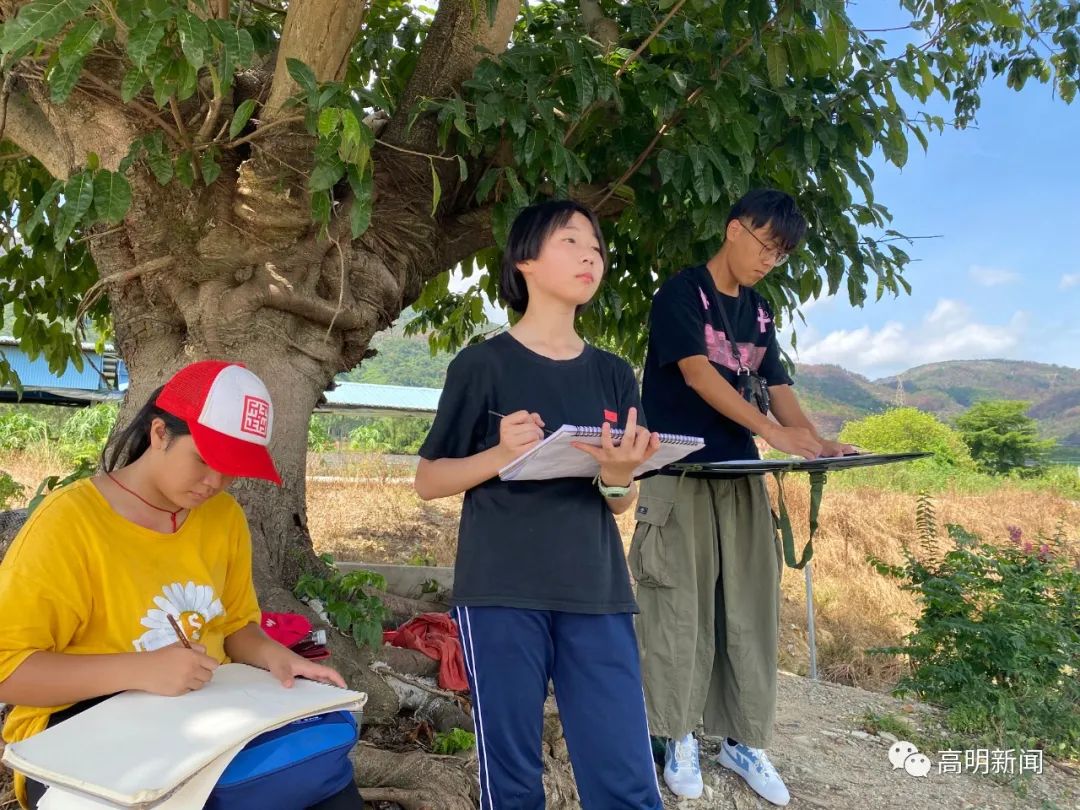 安徽花卉种植基地_安徽花卉种植致富_适合安徽种植的花卉