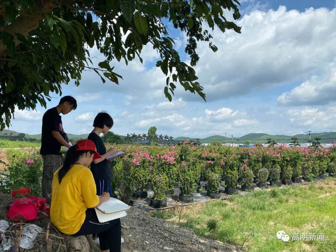 安徽花卉种植基地_安徽花卉种植致富_适合安徽种植的花卉