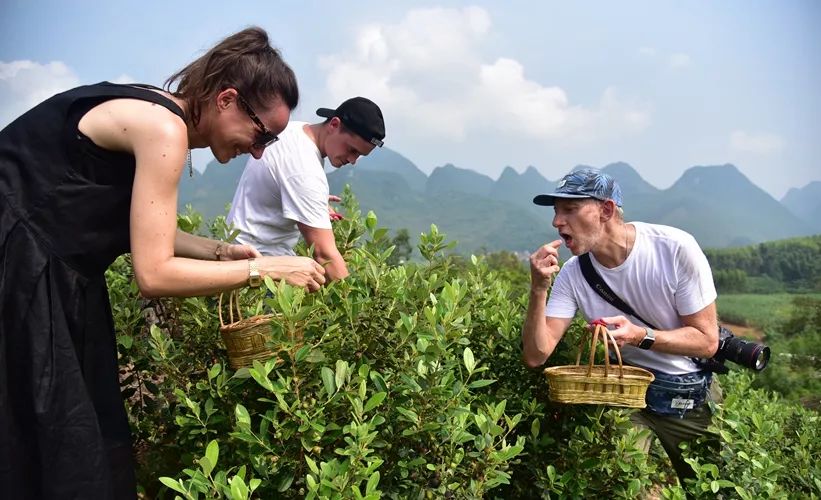 种植山稔致富_山稔种苗_山稔的种植