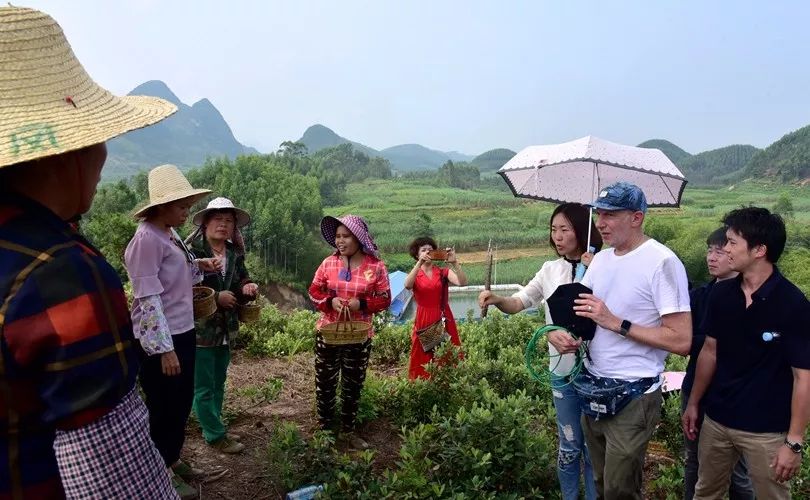 山稔的种植_种植山稔致富_山稔种苗