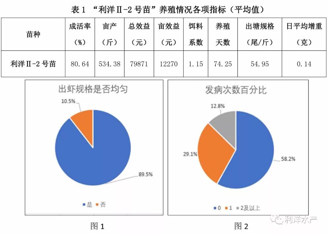 南养白对虾养殖可行性报告_利洋南美白对虾养殖技术_养殖南美对虾的效益