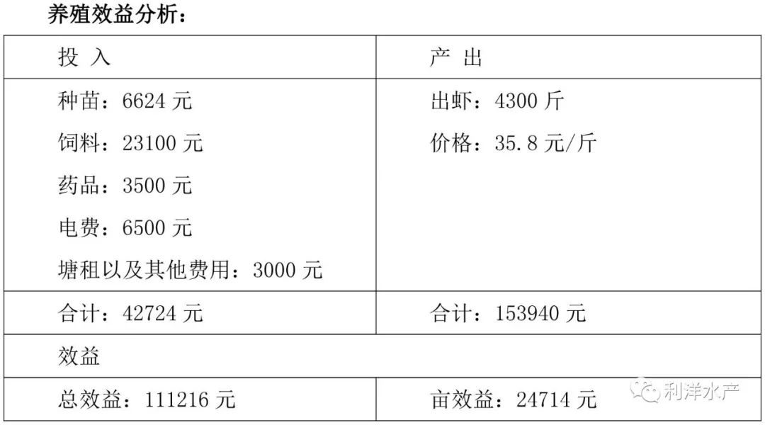 南养白对虾养殖可行性报告_利洋南美白对虾养殖技术_养殖南美对虾的效益