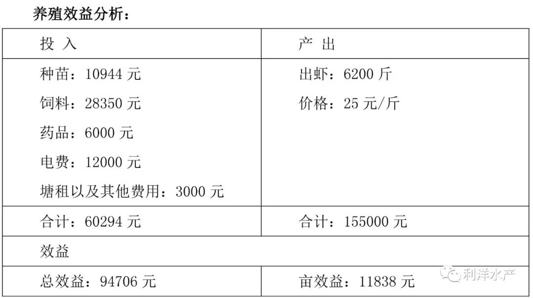 养殖南美对虾的效益_利洋南美白对虾养殖技术_南养白对虾养殖可行性报告