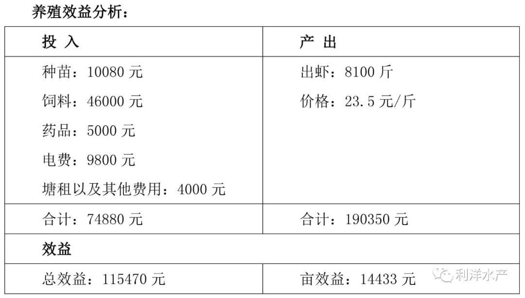 养殖南美对虾的效益_利洋南美白对虾养殖技术_南养白对虾养殖可行性报告