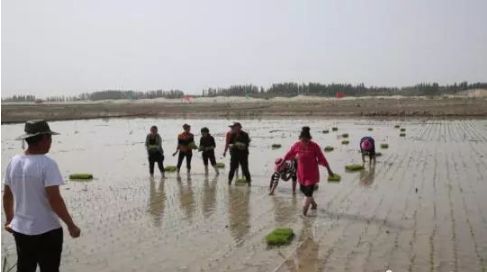 村民种植黑皮冬瓜致富_农村种植致富好项目_戈壁种植致富报告