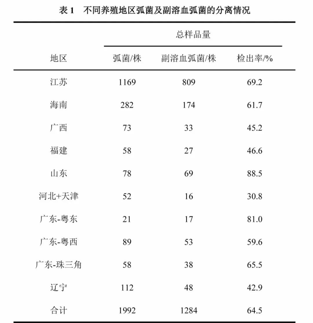 南养白对虾养殖技术_利洋南美白对虾养殖技术_淡化养殖南美白对虾