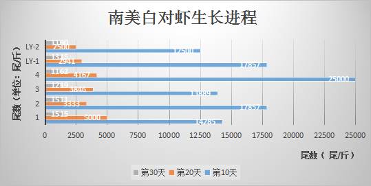 养南美白对虾技术视频_利洋南美白对虾养殖技术_南养白对虾养殖技术