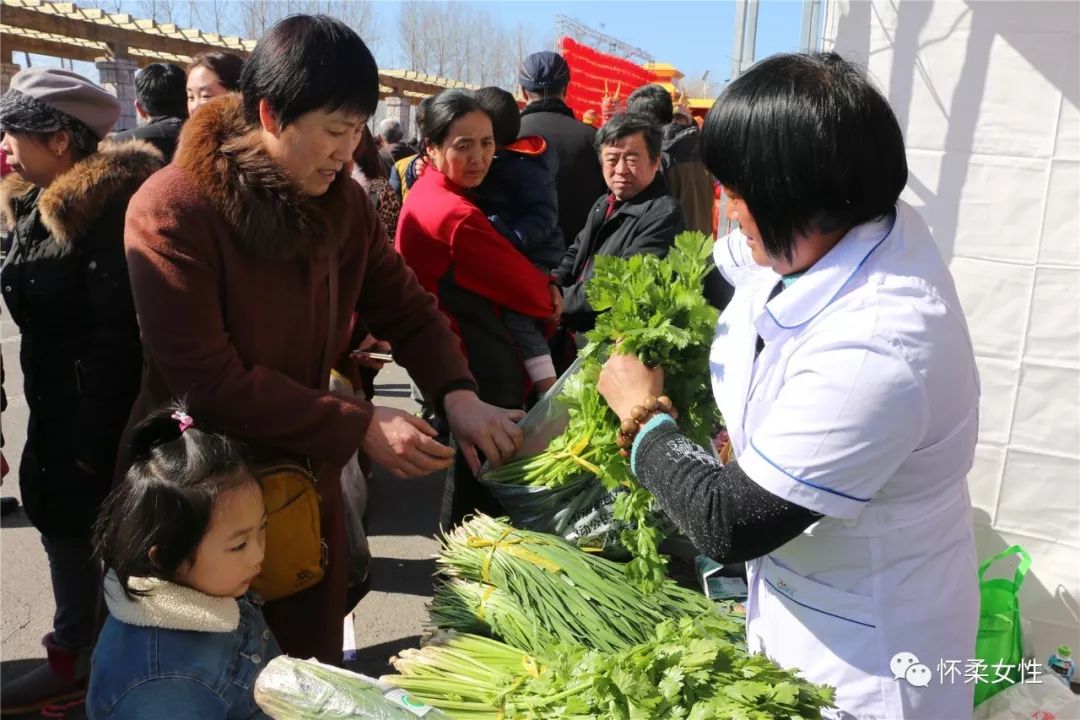 致富经艾草养鸡_艾草喂鸡_艾草养鸡的功效与作用