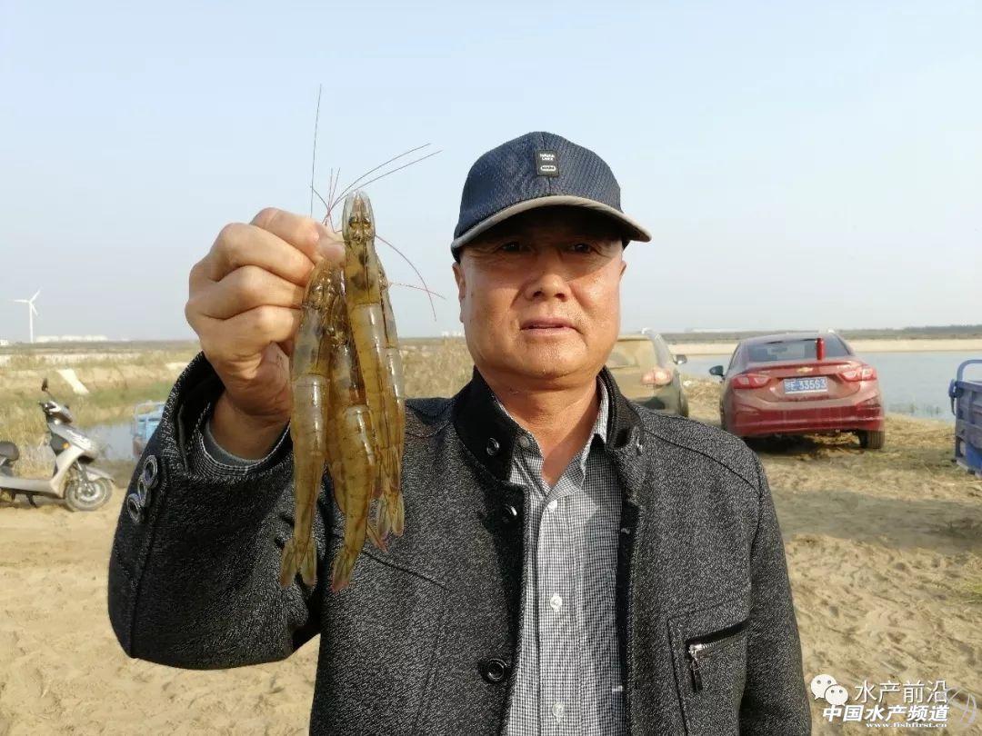 淡水养殖致富渠道_淡水养殖什么利润高_淡水养殖项目