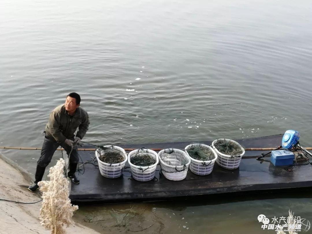 淡水养殖致富渠道_淡水养殖什么利润高_淡水养殖项目