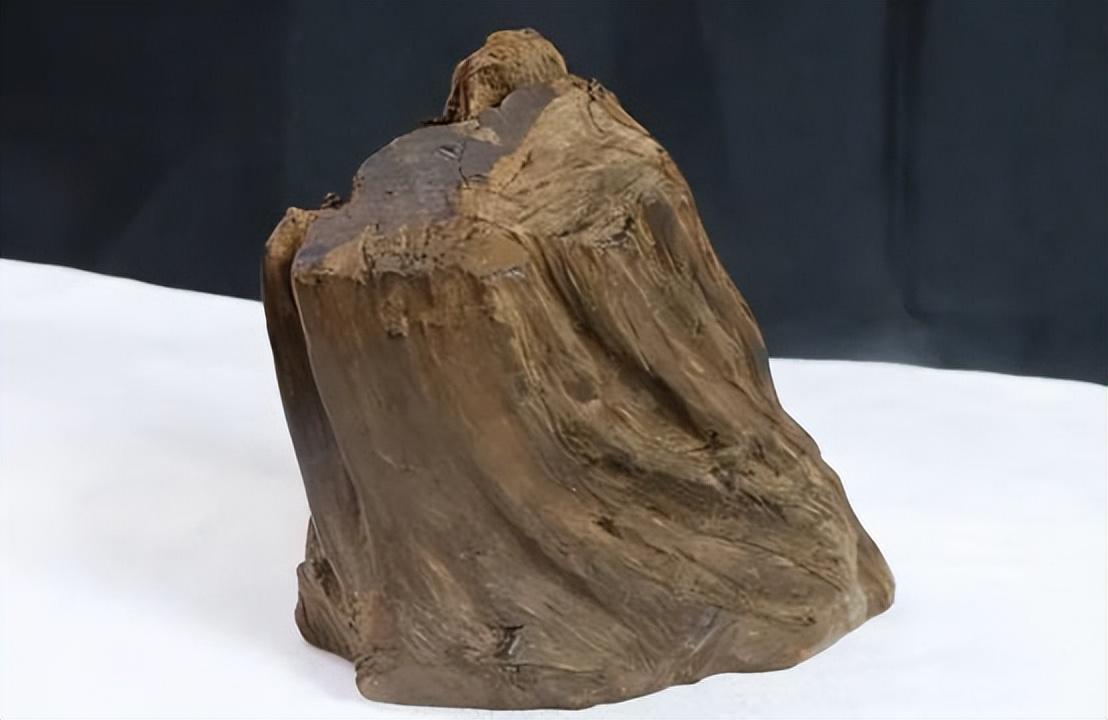 海南沉香种植致富视频_海南沉香怎么种植_海南沉香木种植方法