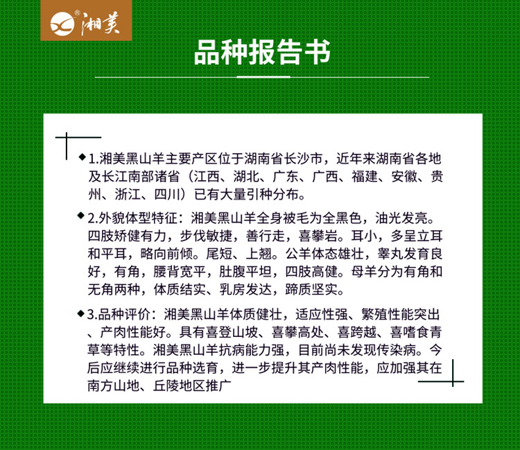 致富养殖放养山羊_致富经山羊养殖视频_致富经山羊养殖技术视频