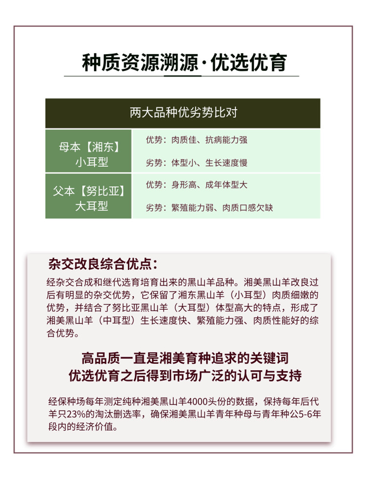 致富经山羊养殖技术视频_致富经山羊养殖视频_致富养殖放养山羊