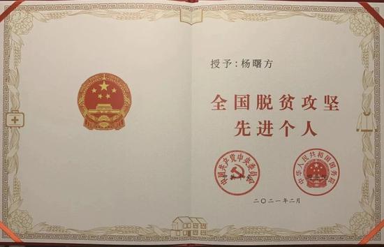 一位新农人与蓝莓的脱贫梦想：育良种 培产业 富村民