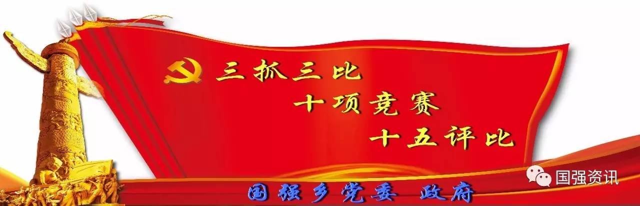 【十五评比•扶贫攻坚篇】国强乡调研珍珠鸡养殖产业  探索脱贫致富新的发展项目