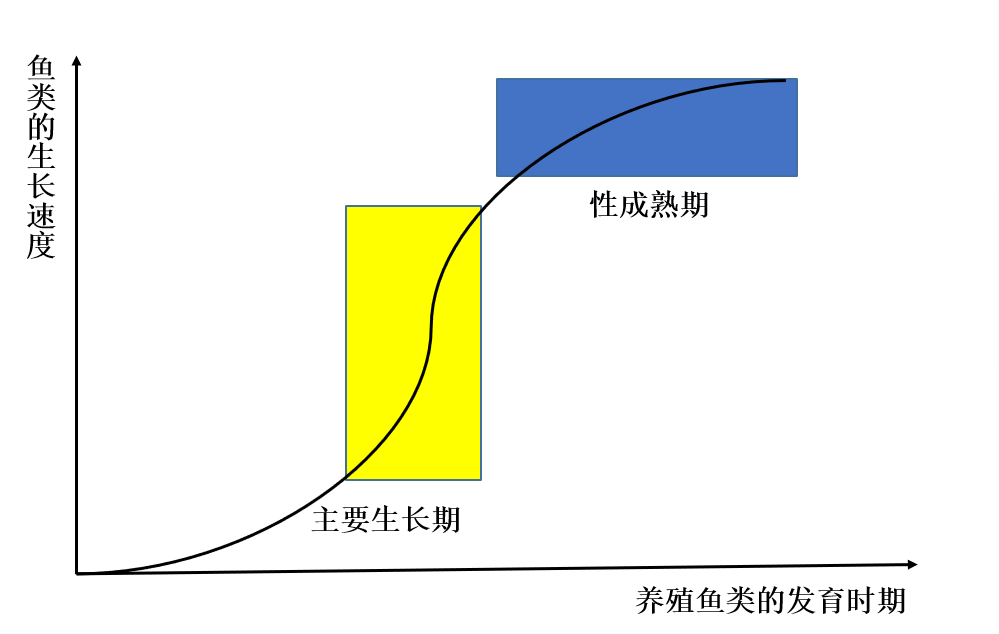 养殖条件下，鱼类怎样才能长得快？和这6个方面有很大关系