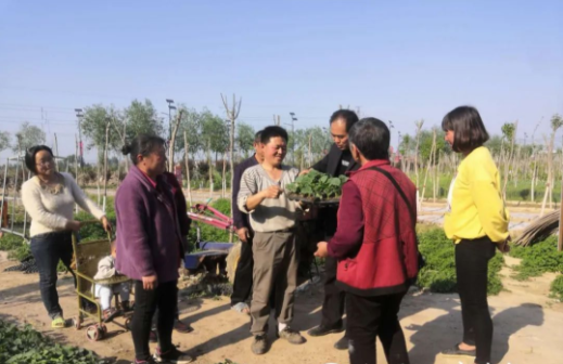 致富养殖项目_致富 无土养殖_致富经土元养殖