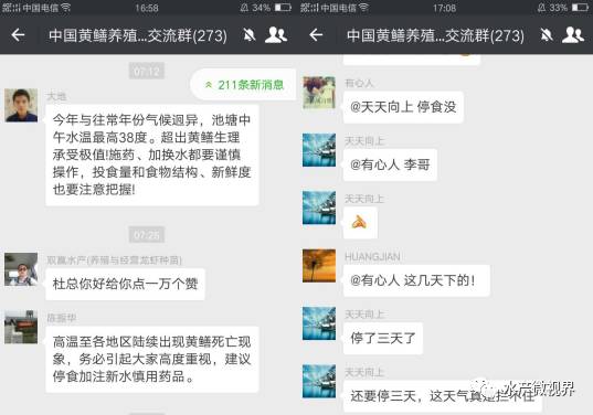 黄鳝养殖技术养殖场注意事项_养殖黄鳝的技术_学习黄鳝养殖技术