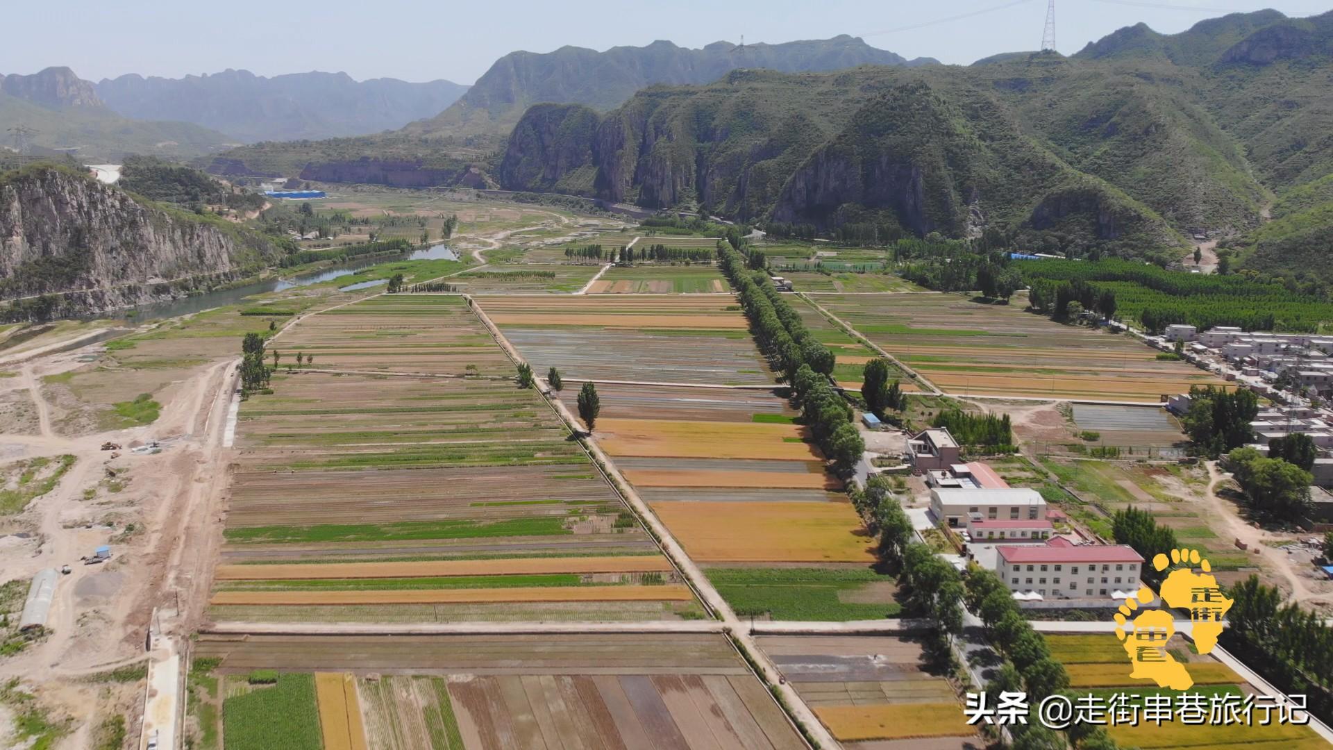 致富景点种植特色有哪些_致富好项目种植_特色种植致富景点