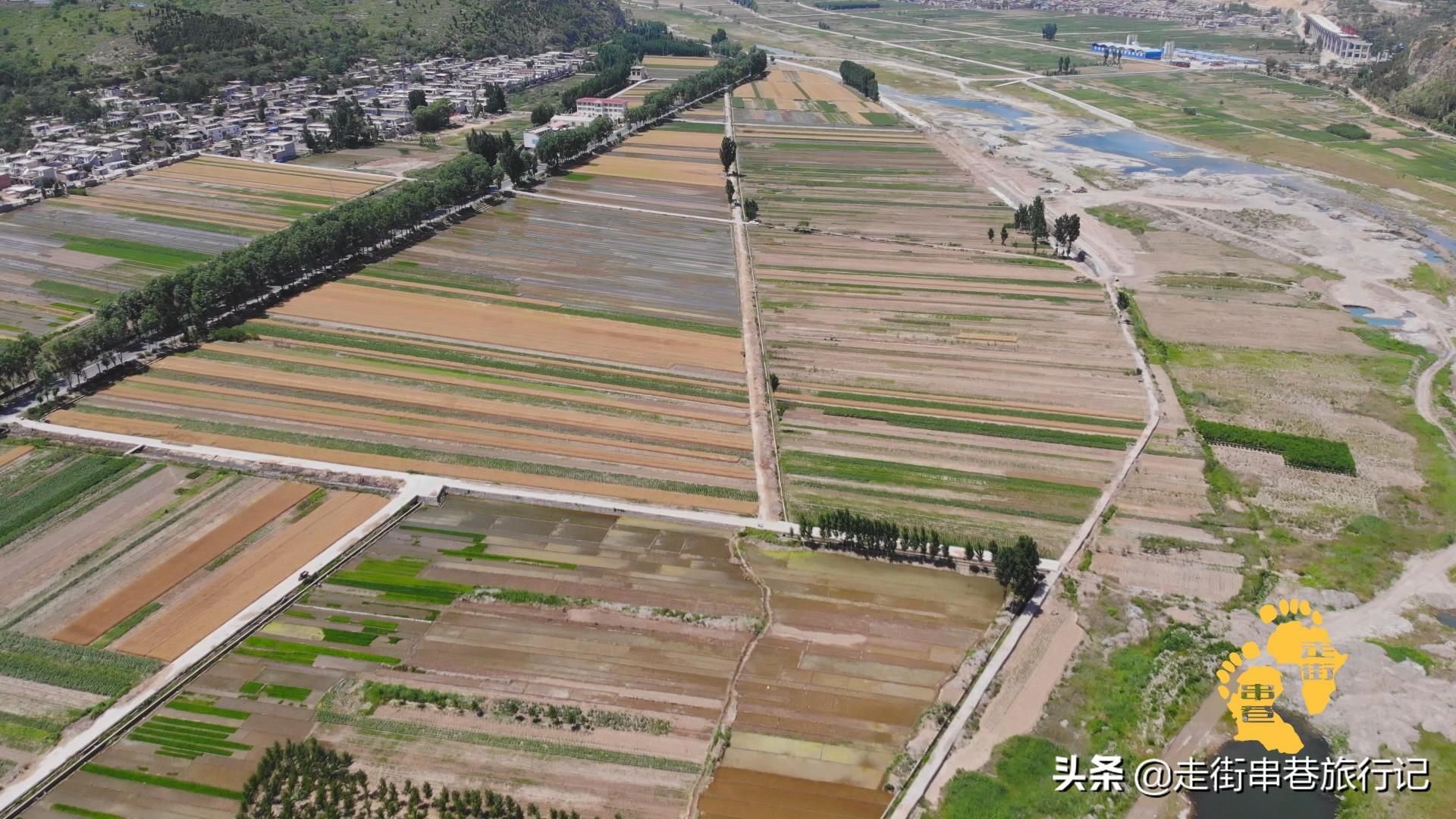 特色种植致富景点_致富景点种植特色有哪些_致富好项目种植