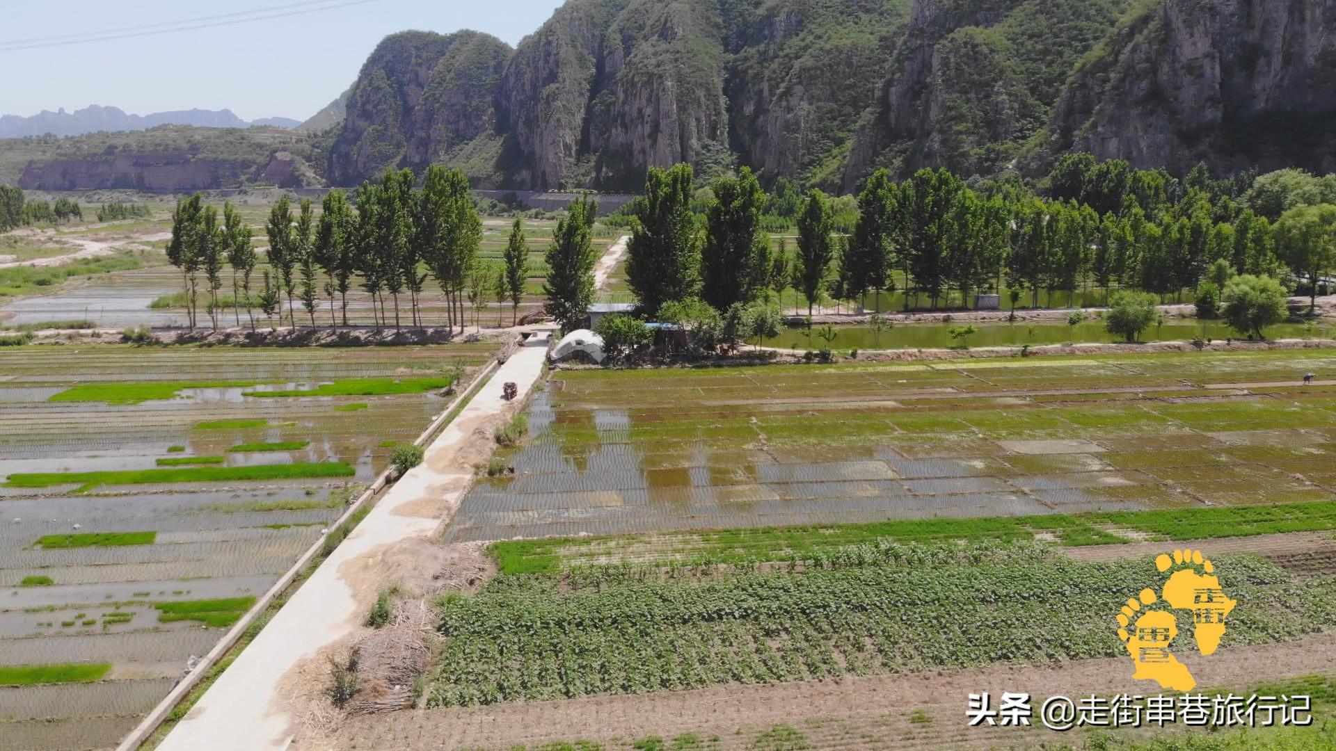 致富好项目种植_致富景点种植特色有哪些_特色种植致富景点