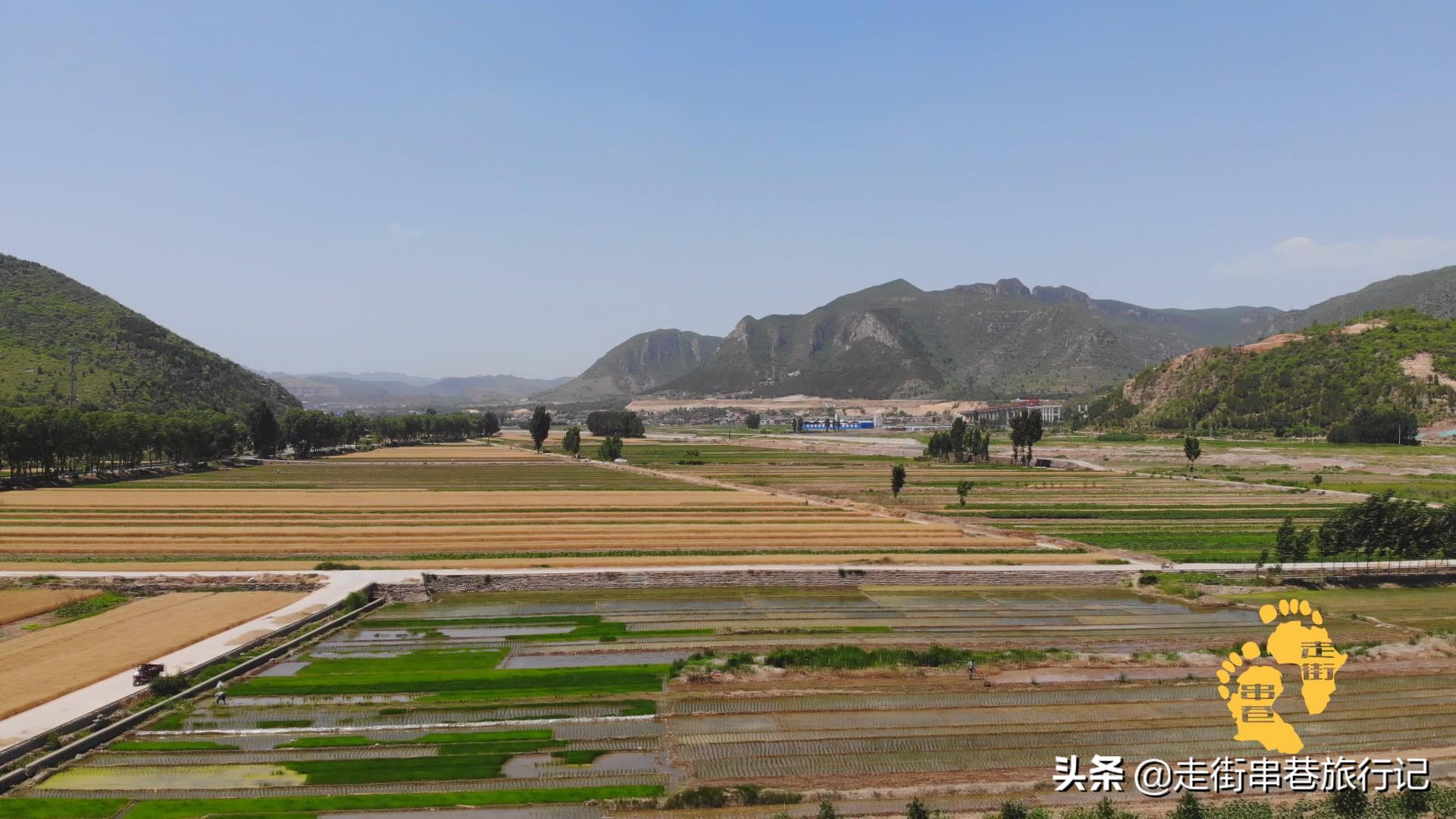 特色种植致富景点_致富景点种植特色有哪些_致富好项目种植