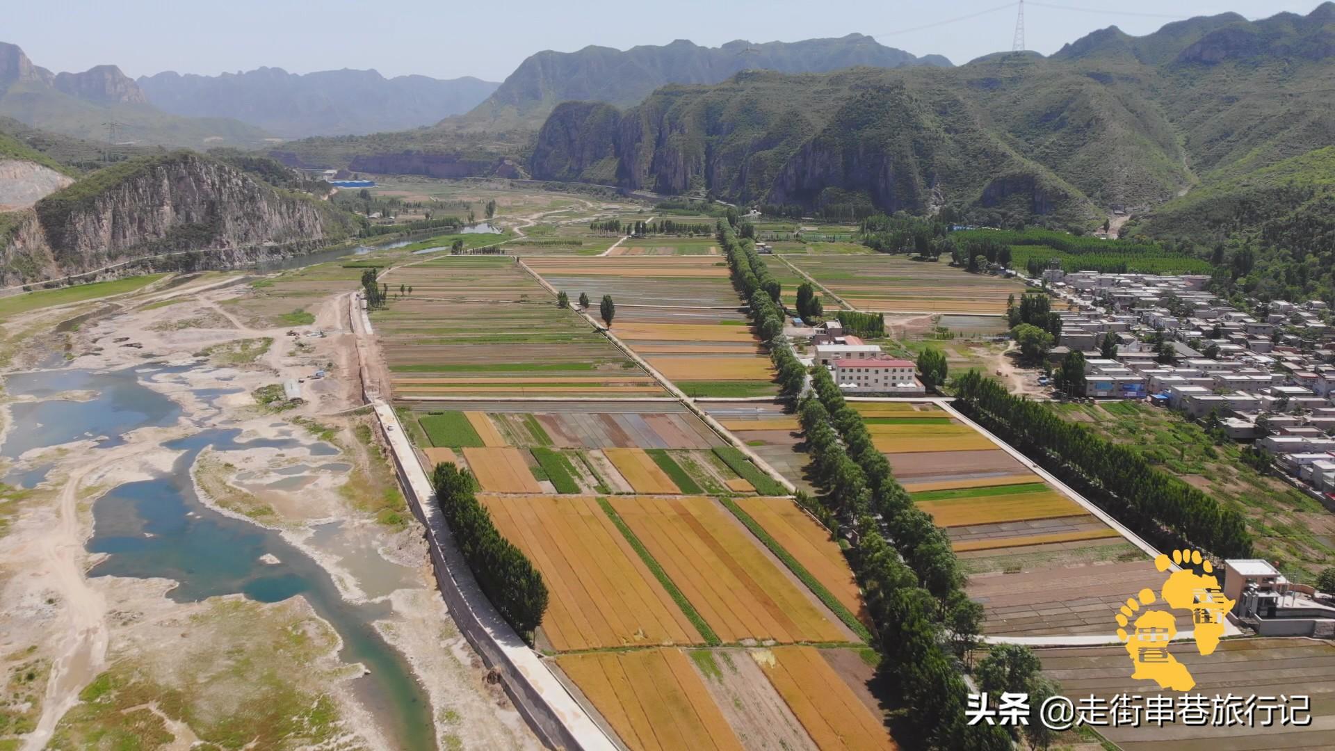 致富景点种植特色有哪些_致富好项目种植_特色种植致富景点