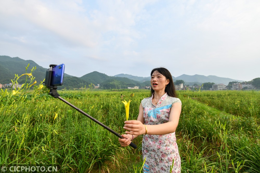 湖南衡阳种植致富_湖南致富经_湖南衡阳可以种什么水果