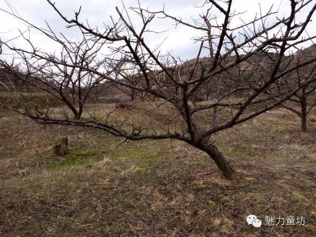 家庭农场养殖致富_农民致富养殖业_农村致富新项目养殖