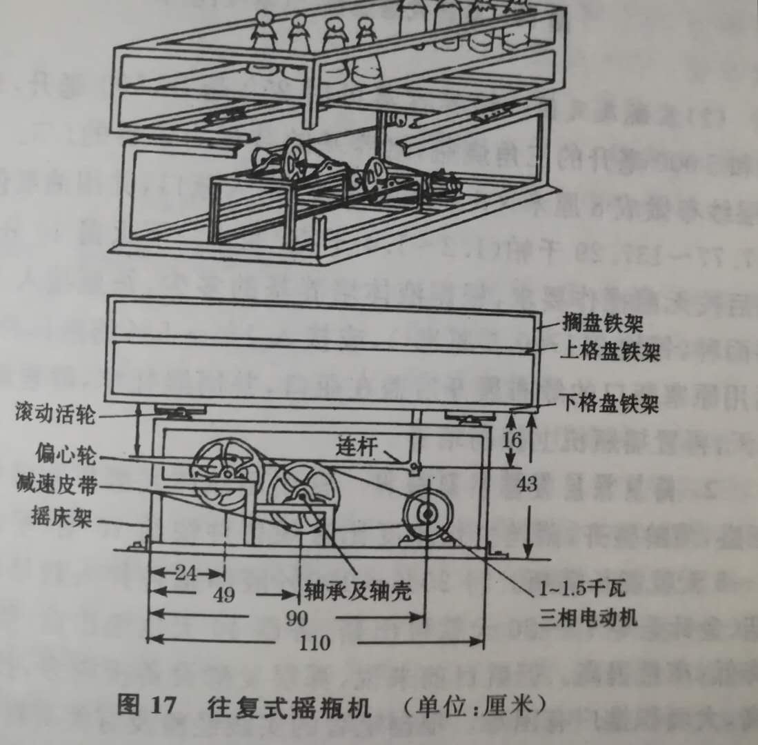 平菇高产栽培技术(3-3)——菌种分离与培养