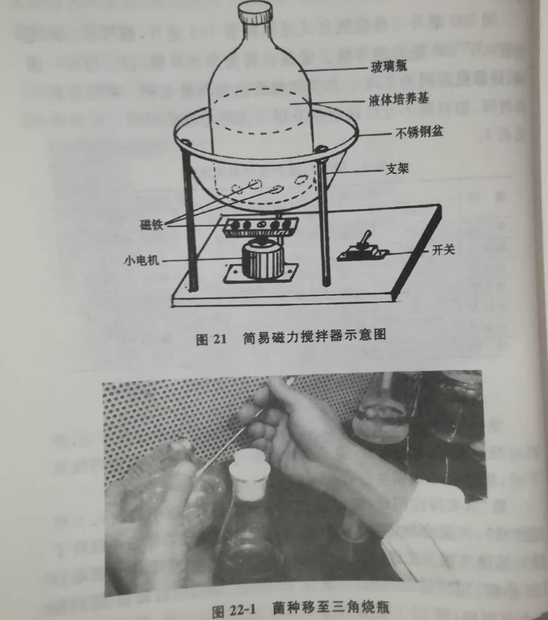 平菇菌种种植_平菇菌种种植技术_平菇菌种植技术