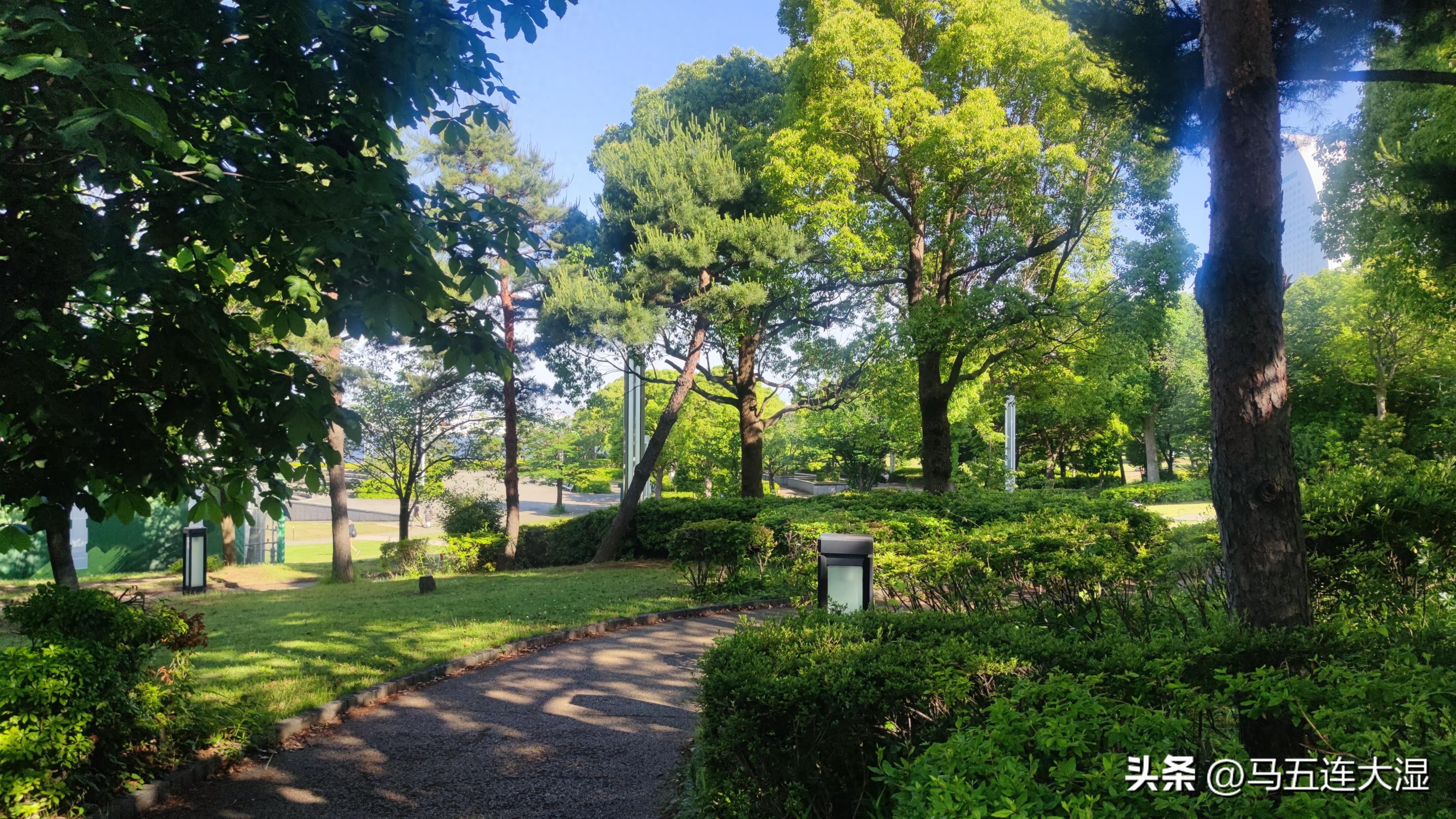 我的摄影记录# 横滨的绿色城市规划