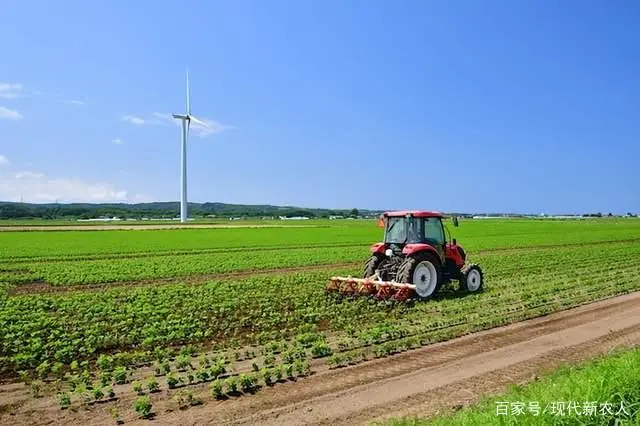 黄豆种植技术_黄豆种植技术和防病虫管理_黄豆种植技术与方法