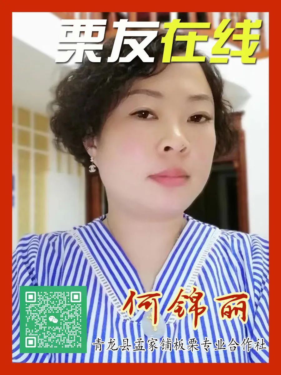 乌海能源公司总经理张传利_致富经张传利电话_齐齐哈尔养鹅人张传利