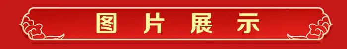 乌海能源公司总经理张传利_齐齐哈尔养鹅人张传利_致富经张传利电话